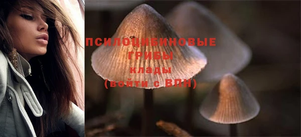 героин Абаза
