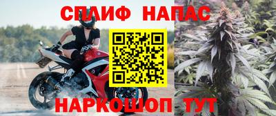 a pvp Гатчина