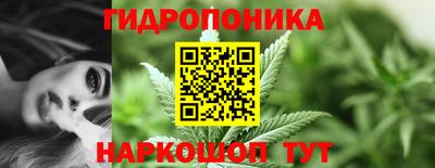 соль ск Гай